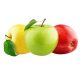 GN-Products - 2024-12-23T154807.313