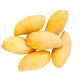 GN-Products - 2025-04-15T110818.044