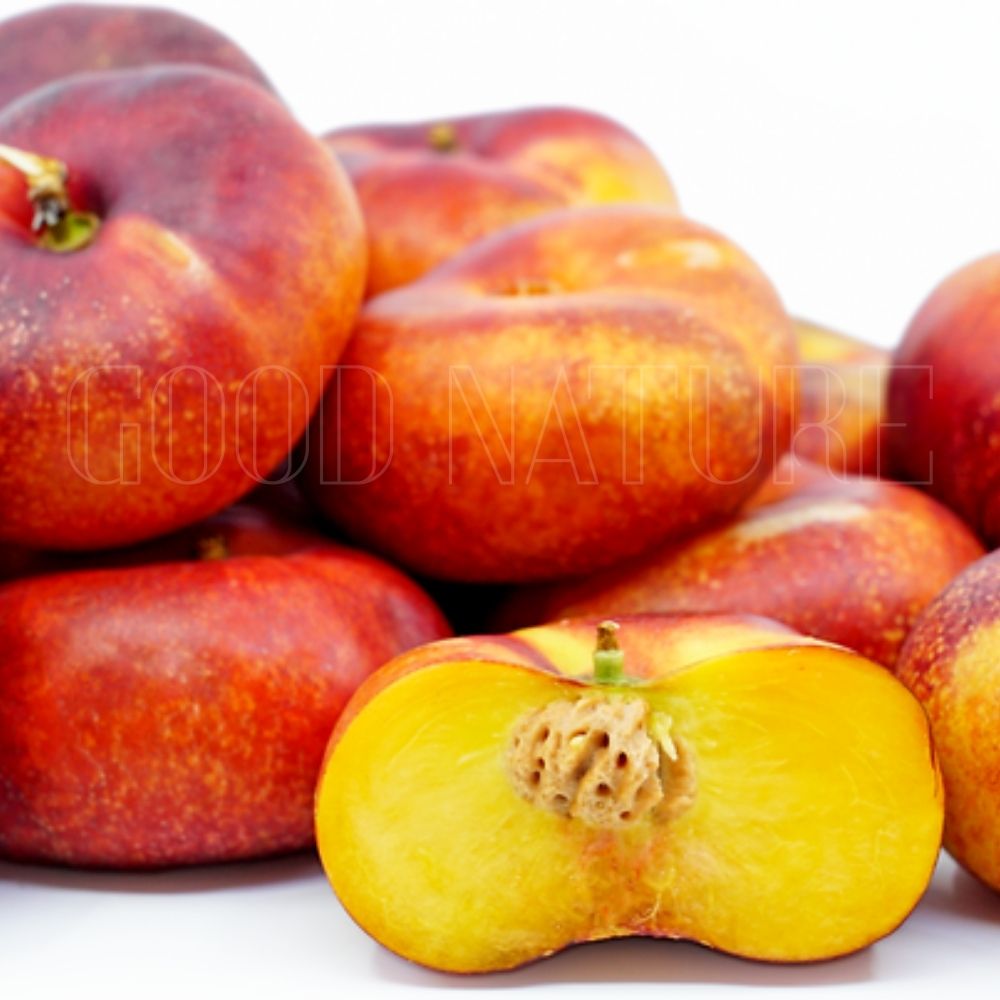 DonutNectarine