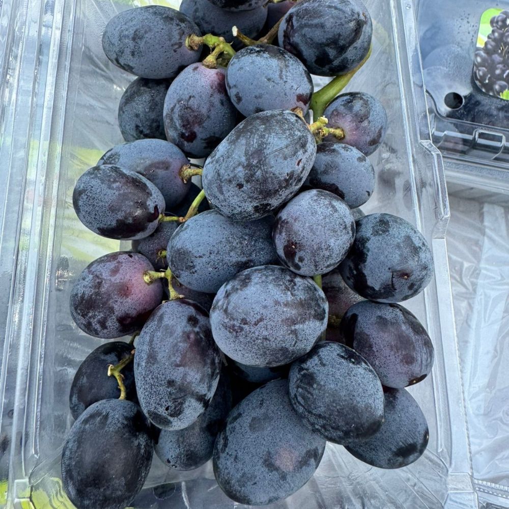 China Autumn Royal Grapes