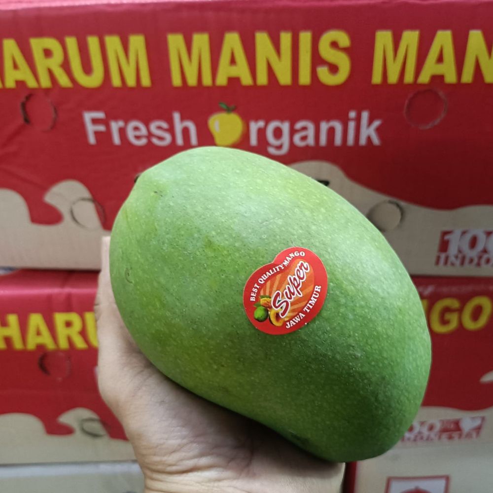 Indo Harumanis Mango2