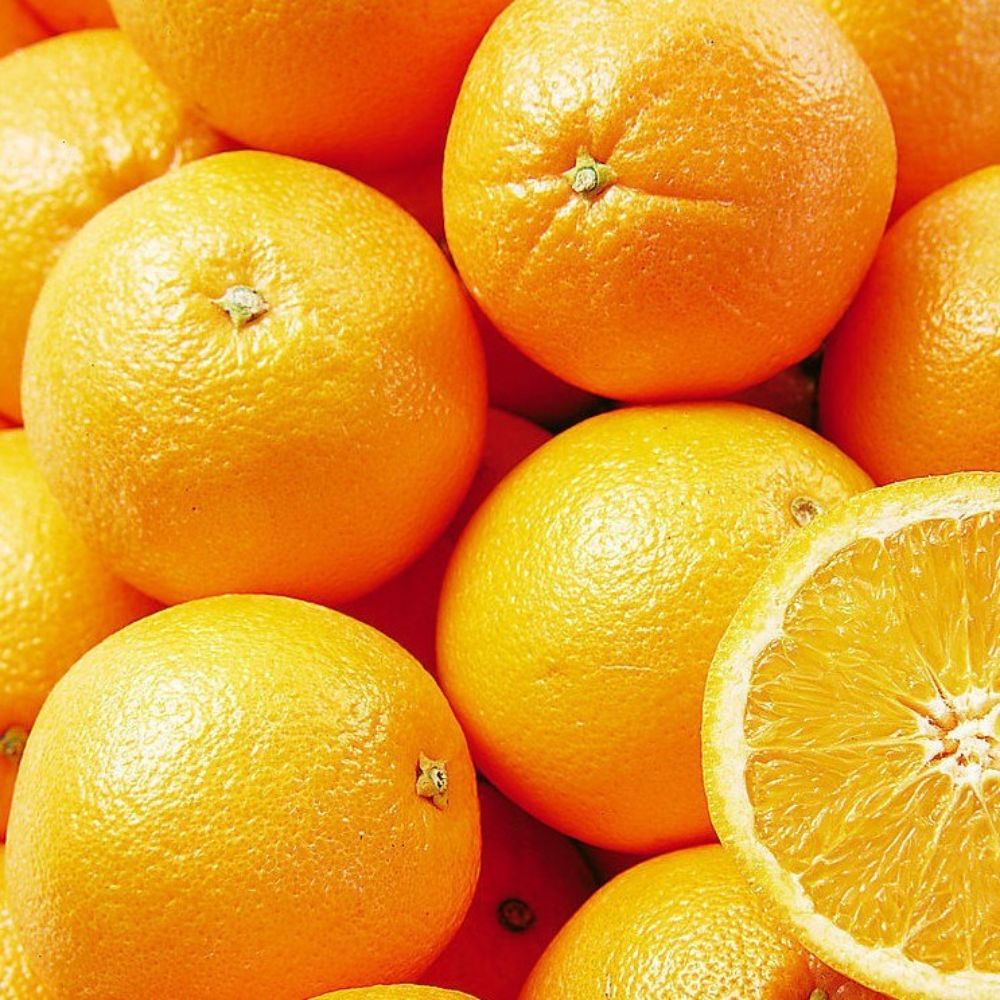 China Navel Oranges